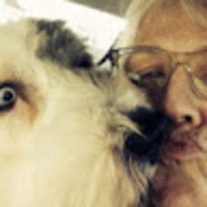 Meet your Posher, Susan